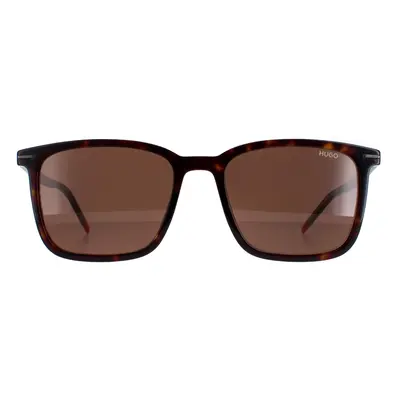 Hugo by Hugo Boss Sunglasses HG1168/S 086/70 Dark Havana Brown