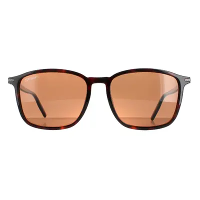 Serengeti Sunglasses Lenwood 8933 Shiny Dark Havana Mineral Polarized Drivers