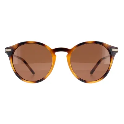 Ted Baker Sunglasses TB1632 Ashton 100 Brown Brown Mirrored