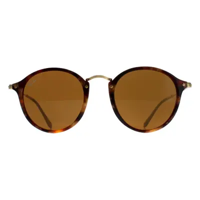 Ray-Ban Sunglasses Round Fleck 2447 1160 Tortoise & Gold Brown