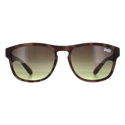 Superdry Sunglasses Rockstar 170A Brown Brown