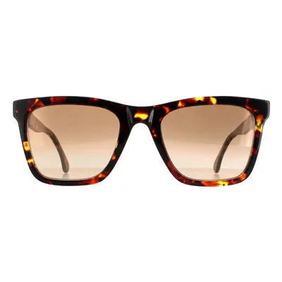 Paul Smith Sunglasses PSSN055 Durant 02 Havana Brown Gradient