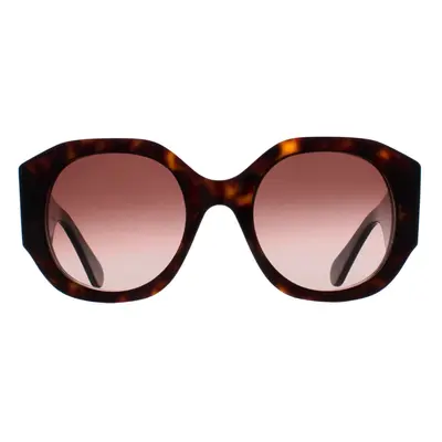 Chloe Sunglasses CH0234S 002 Dark Havana Brown Gradient