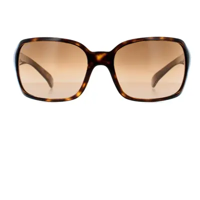 Ray-Ban Sunglasses 4068 710/51 Havana Brown Gradient