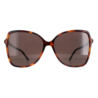 Jimmy Choo Sunglasses Fede/S 086/70 Havana Brown