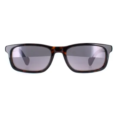 Moncler Sunglasses ML0116 52C Dark Havana Smoke Mirror