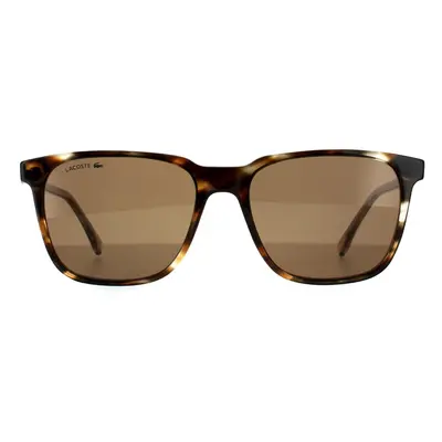 Lacoste Sunglasses L910S 214 Havana Brown