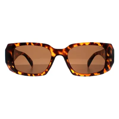 Atum Sunglasses Nyx C2 Shiny Havana Brown