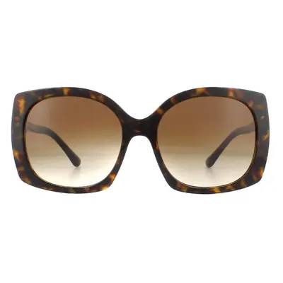 Dolce & Gabbana Sunglasses DG4385 502/13 Havana Brown Gradient Dark Brown