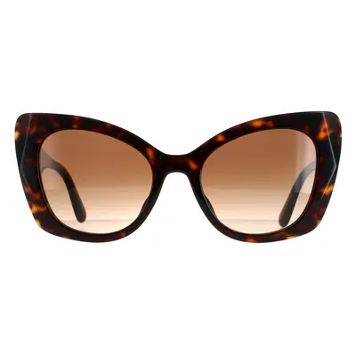 Dolce & Gabbana Sunglasses DG4405F 502/13 Dark Havana Brown Gradient