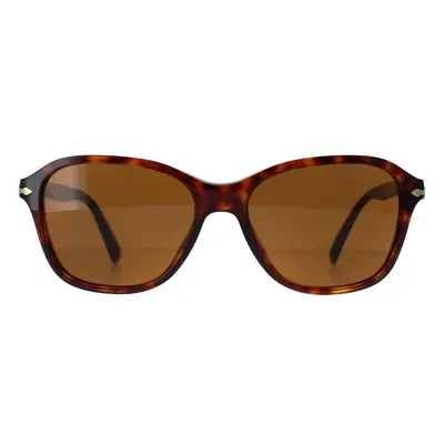 Persol Sunglasses PO3244S 24/33 Havana Brown