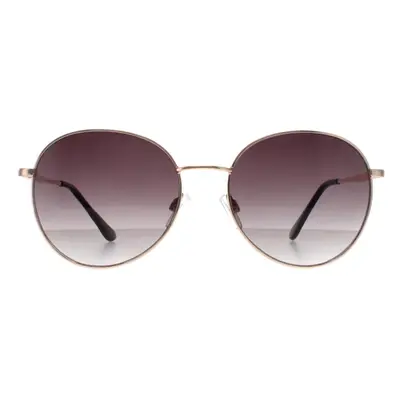 Smarty Sunglasses X1116 B Gold Grey