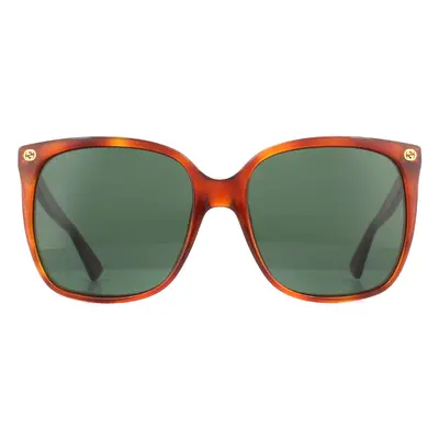 Gucci Sunglasses GG0022S 002 Havana Green