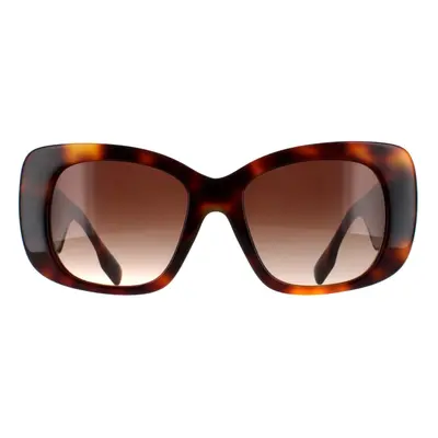 Rental Burberry Sunglasses BE4410 331613 Light Havana Brown Gradient