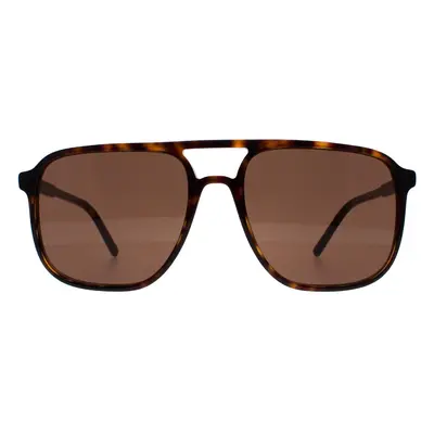 Dolce & Gabbana Sunglasses DG4423 502/73 Havana Dark Brown