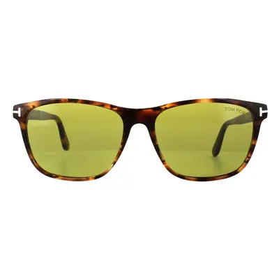 Tom Ford Sunglasses 0629 Nicolo 55N Havana Green