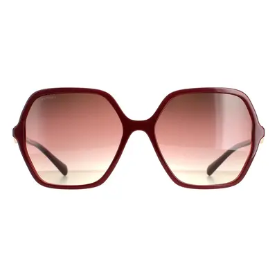 Bvlgari Sunglasses BV8238B 5469E2 Bordeaux on Transparent Red Brown Purple Gradient