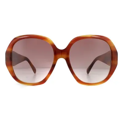 Gucci Sunglasses GG0796S 004 Havana Red Gradient