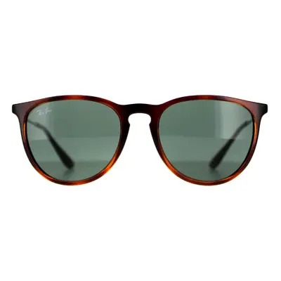 Ray-Ban Sunglasses Erika 4171 710/71 Tortoise & Gunmetal Green