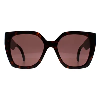 Gucci Sunglasses GG1300S 002 Havana Brown