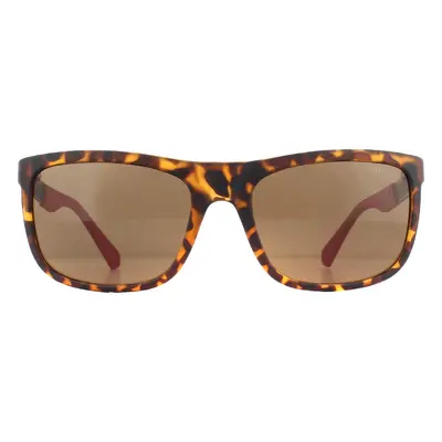 Guess Sunglasses GU6843 52H Dark Havana Brown Polarized