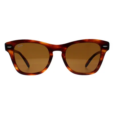 Ray-Ban Sunglasses RB0707S 954/33 Striped Havana Brown