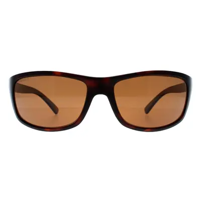 Serengeti Sunglasses Bormio 8166 Matte Dark Tortoise PhD 2.0 Polarized Drivers Brown