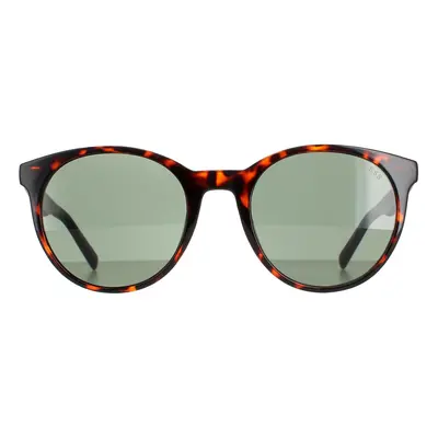 Guess Sunglasses GU00023 52N Dark Havana Green