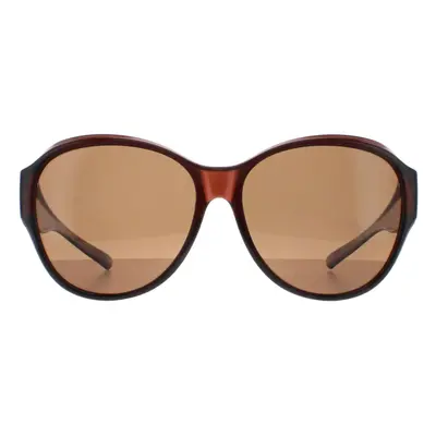 Smarty Sunglasses X2115 B Transparent Brown EF Brown