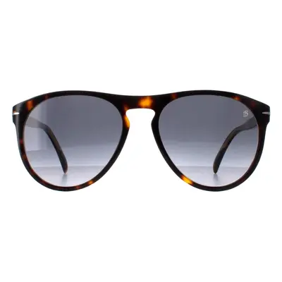 David Beckham Sunglasses DB1008/S 086 9O Dark Tortoise Grey Gradient