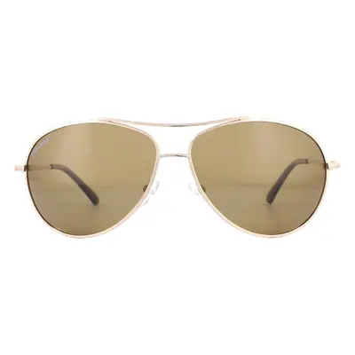 SunOptic Sunglasses SP100 C Gold Flex Brown Polarized