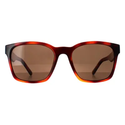 Salvatore Ferragamo Sunglasses SF959S 214 Tortoise Brown