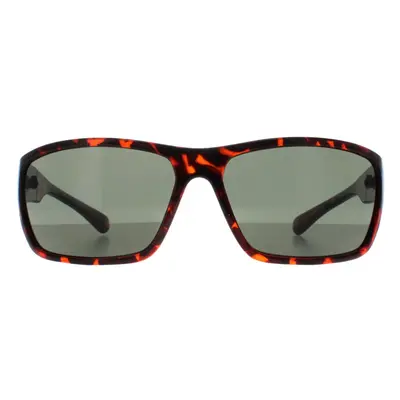 Smarty Sunglasses X2135 B Demi Brown Tortoise Green