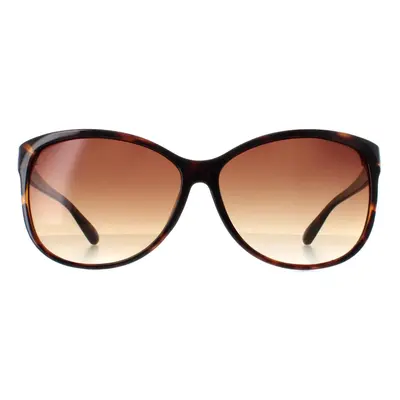 Calvin Klein Sunglasses R661S 206 Dark Tortoise Brown Gradient