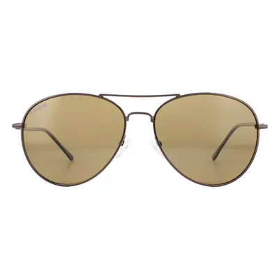 Montana Sunglasses MP95 B Bronze Brown Flex Brown Polarized