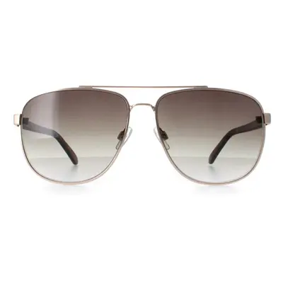 Smarty Sunglasses X1122 B Matte Gold Matte Demi Tortoise Brown Grey