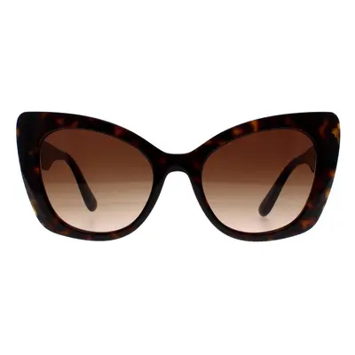 Dolce & Gabbana Sunglasses DG4405 502/13 Havana Brown Gradient