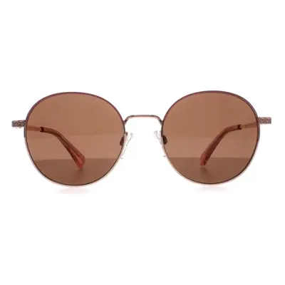 Ted Baker Sunglasses TB1679 Willa 401 Rose Gold Brown