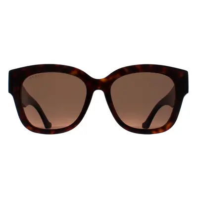 Gucci Sunglasses GG1550SK 002 Havana Brown