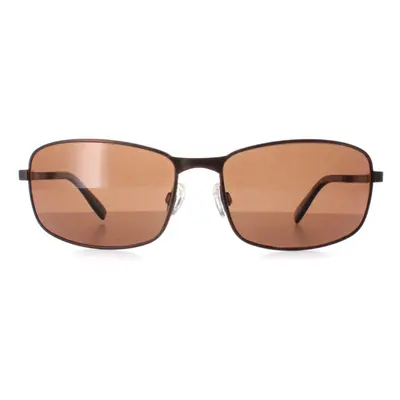 Serengeti Sunglasses Varese 2.0 SS568003 Brushed Brown Drivers Brown Polarized