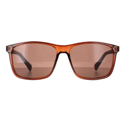 Calvin Klein Sunglasses CK19568S 210 Crystal Brown Brown