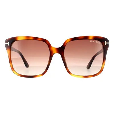 Tom Ford Sunglasses Faye FT0788 53F Blonde Havana Brown Gradient