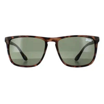 Superdry Sunglasses Shockwave 102 Satin Spotted Havana Green