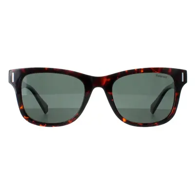 Polaroid Sunglasses PLD 6206/S 086 UC Havana Green Polarized