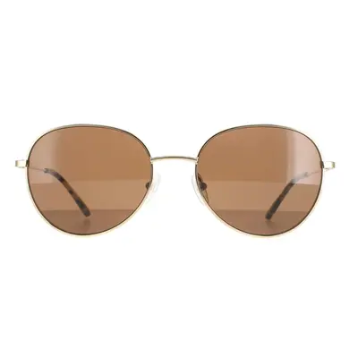 Calvin Klein Sunglasses CK20104S 717 Gold Solid Brown