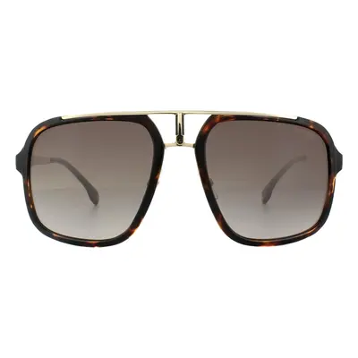 Carrera Sunglasses 1004/S 2IK HA Havana Gold Brown Gradient