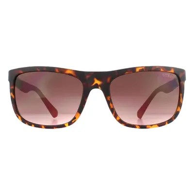 Guess Sunglasses GU6843 52F Dark Havana Brown Gradient