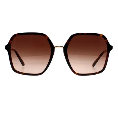 Dolce & Gabbana Sunglasses DG4422 502/13 Havana Brown Gradient