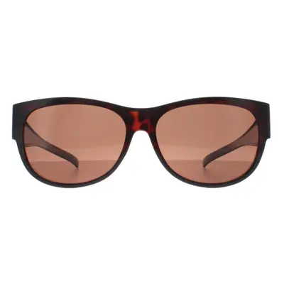 Smarty Sunglasses SA220 0A Brown Tortoise Brown