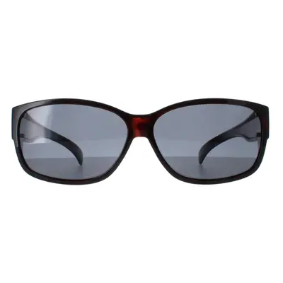 Smarty Sunglasses Y2057 C Warm Demi